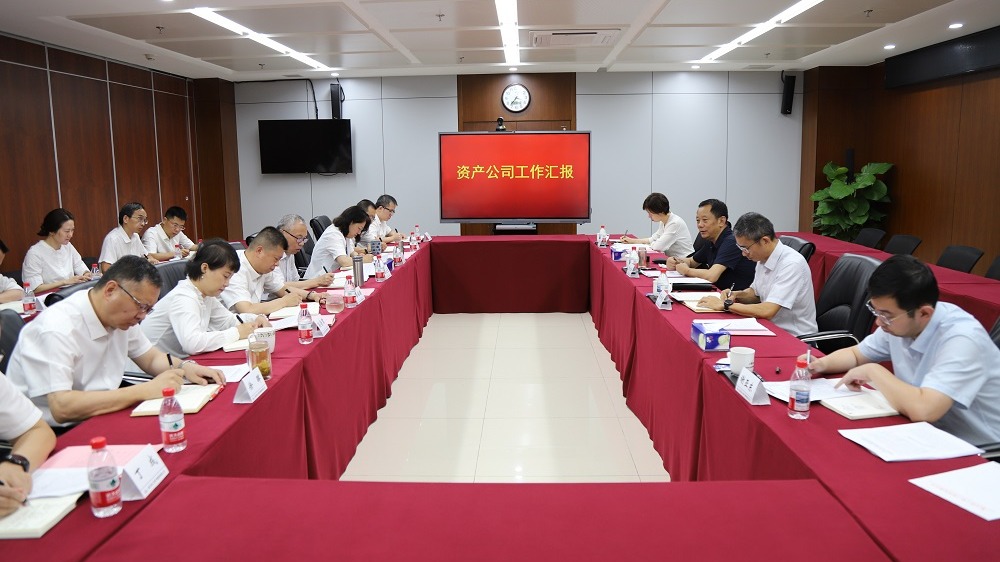 陈少洋调研资产公司 